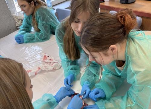 Biologia  w praktyce