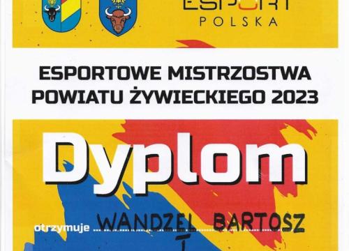 Mistrzostwa e-sportowe