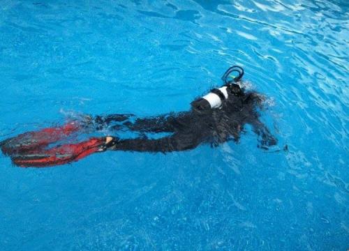 Liceum profil policyjny I