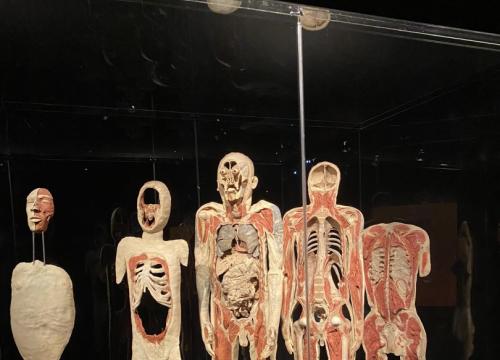 Zadbaj o swoje ciało