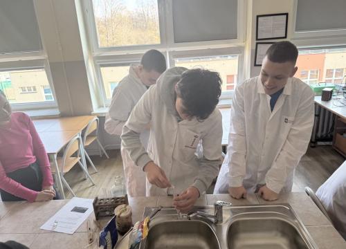 Warsztaty międzyprzedmiotowe