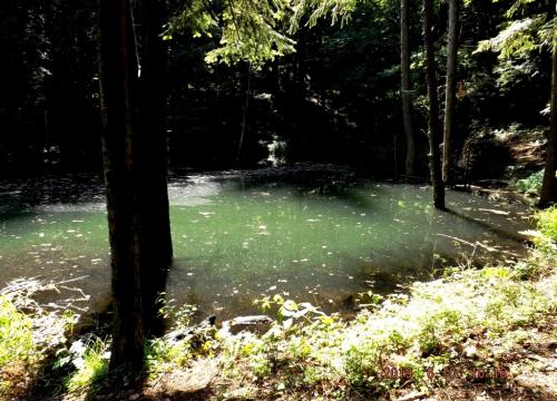 Hrobacza Łąka 2019