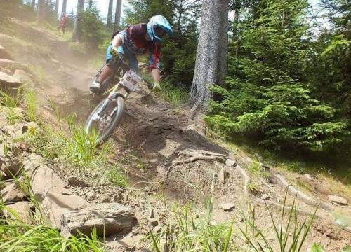 Liceum o profilu sportowym - biol-chem II