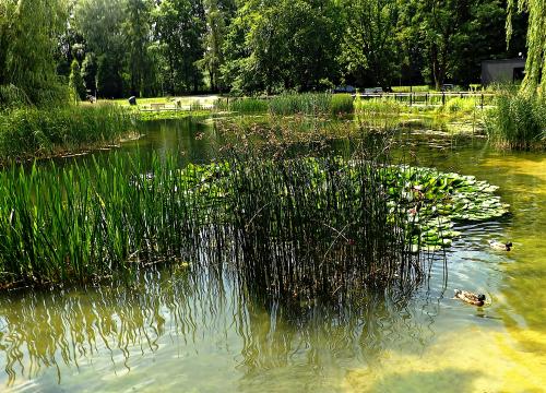 Krakowskie szaleństwa