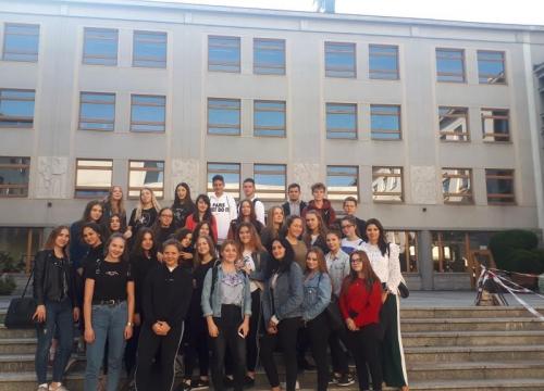 Wykrywanie białek oraz obserwacje mikroskopowe