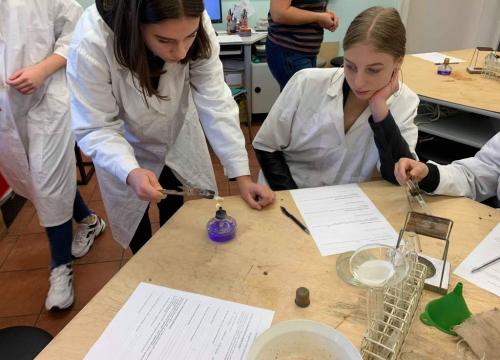 Wykrywanie białek oraz obserwacje mikroskopowe