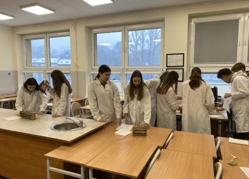 Warsztaty biol-chem 2023 II