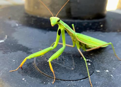 Aqua Dance w Zamościu