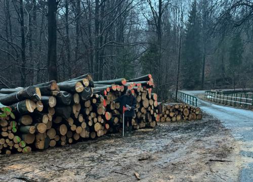 Dzień przędsiębiorczości w praktyce