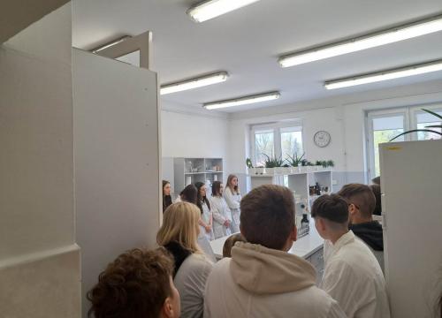 W świecie wirusów i  bakterii