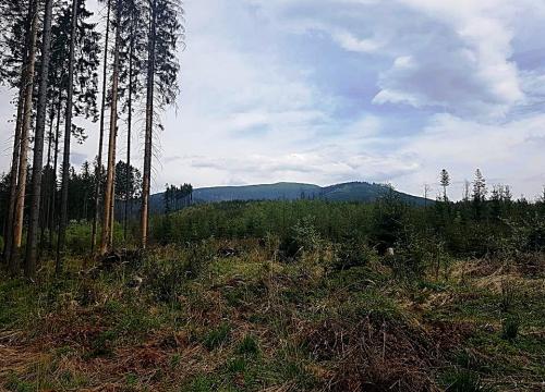 Na rowerowym szlaku – wokół Babiej Góry