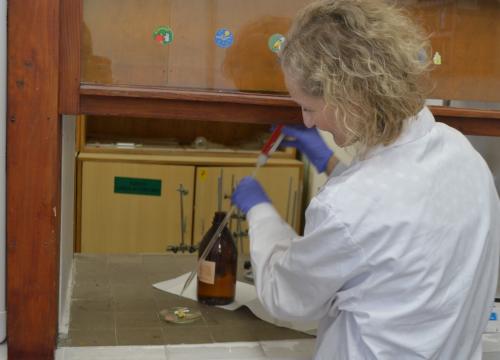 Czy wiesz co jesz? część 2