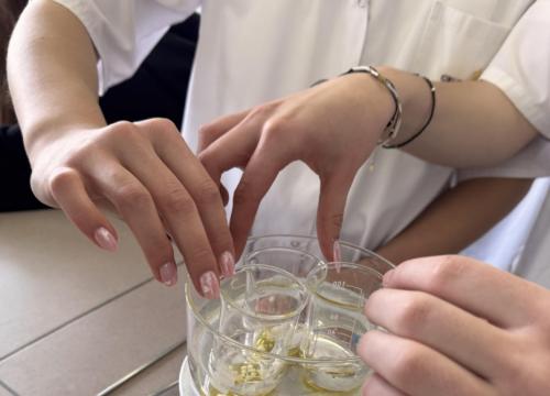 I obóz naukowy BiolChemCamp