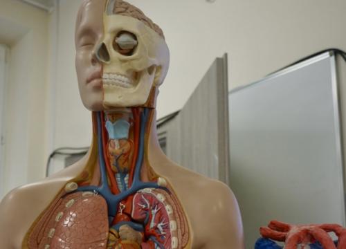 Dni Otwarte w "Mechaniku" 1