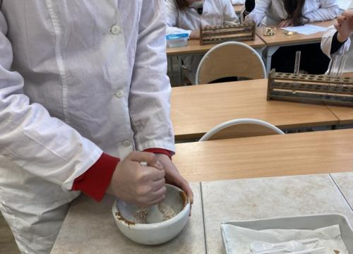 Warsztaty biol-chem 2023 II