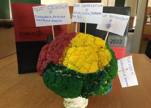 Wizyta w zsme ucziów klas 8