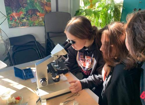 Wykrywanie białek oraz obserwacje mikroskopowe