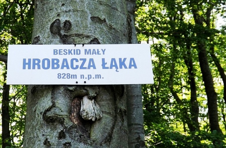 Małe jest piękne, czyli na szlakach Beskidu Małego